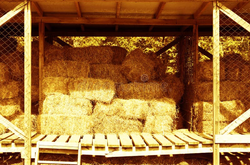 Hay storage. stock image. Image of autumn, yellow, wood 40221259