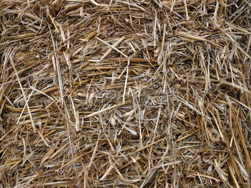 Hay texture