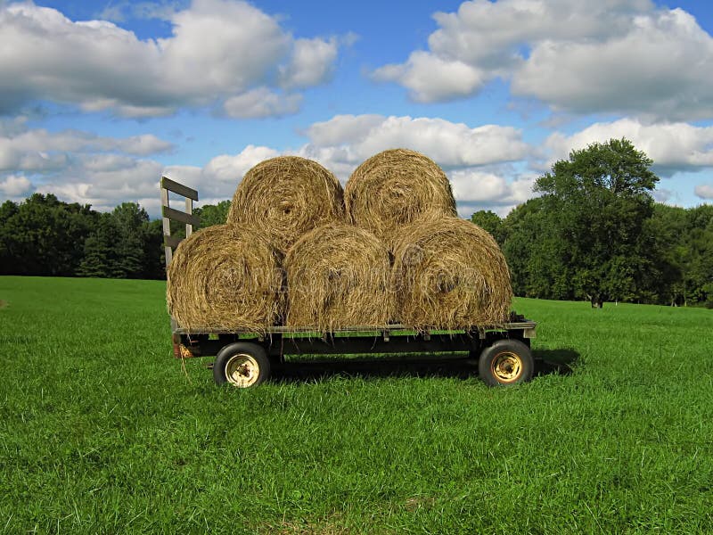 Hay Wagon stock photo. Image of farmland, hayfield, tractor 20624806