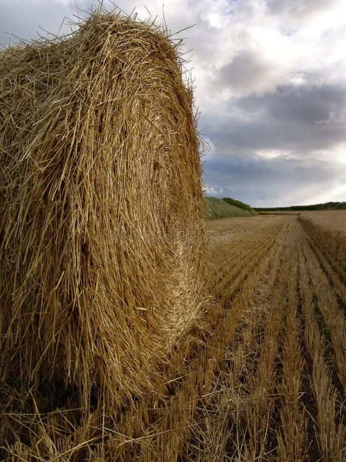 Download Haybale στοκ εικόνες. εικόνα από σανός, φύση, υπαίθρια, πεδίο - 59926