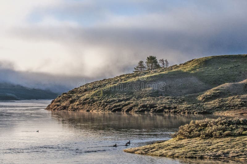 Hayden Valley Morning royalty free stock photo