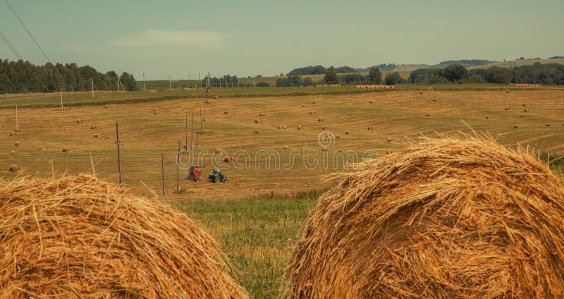 hayfield Hooi die Zonnig de herfstlandschap oogsten broodjes van vers droog hooi op de gebieden de tractor verzamelt gemaaid gras stock foto hayfield Hooi die Zonnig de herfstlandschap oogsten broodjes van vers droog hooi op de gebieden de tractor verzamelt gemaaid gras stock foto