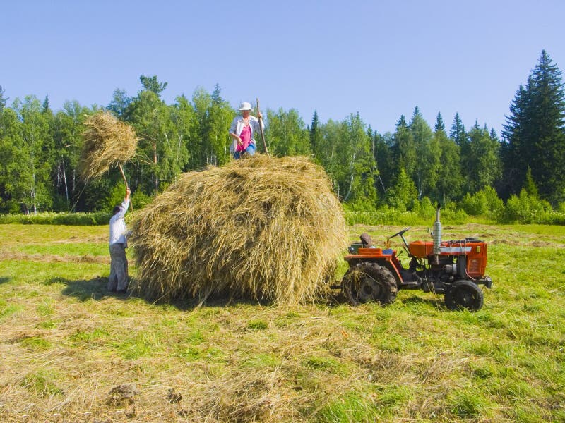 Haymaking in Siberia 15