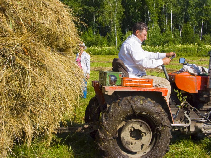 Haymaking in Siberia 3