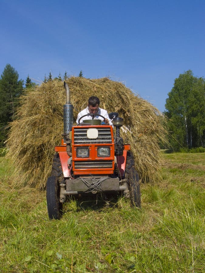 Haymaking in Siberia 4