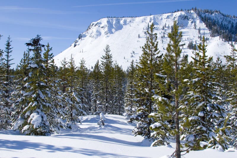 Hayrick Butte stock image. Image of santiam, snow, powder - 4134363