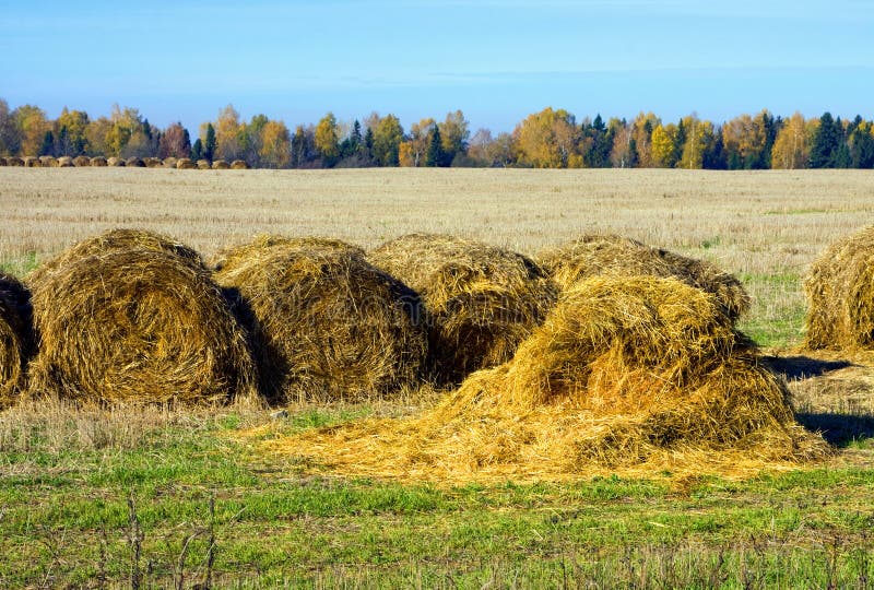 Hayrick stock image. Image of country, bright, field - 99094705