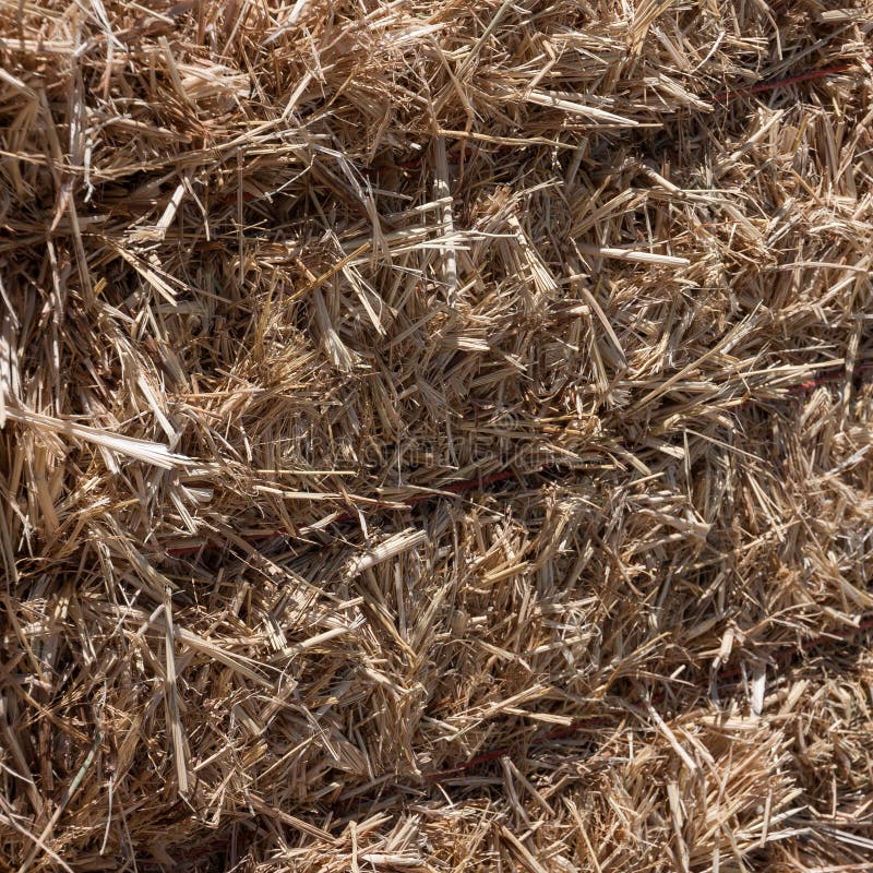 Haystack royalty free stock photos