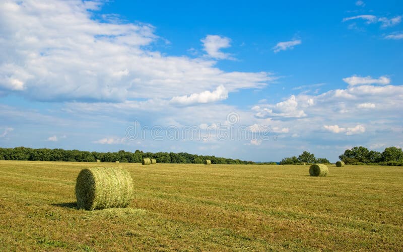 Haystack