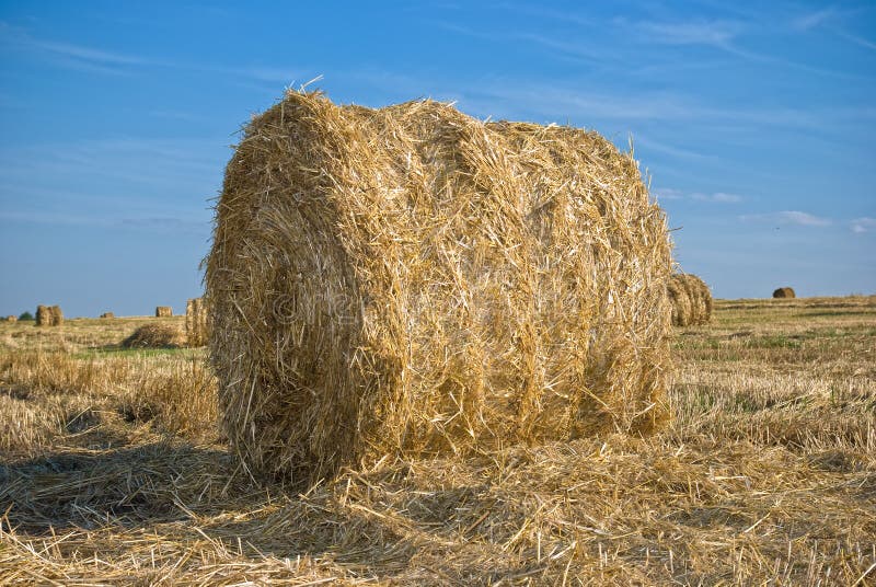 Haystack