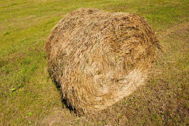 Haystack stock image. Image of plant, wheat, agriculture - 7853463