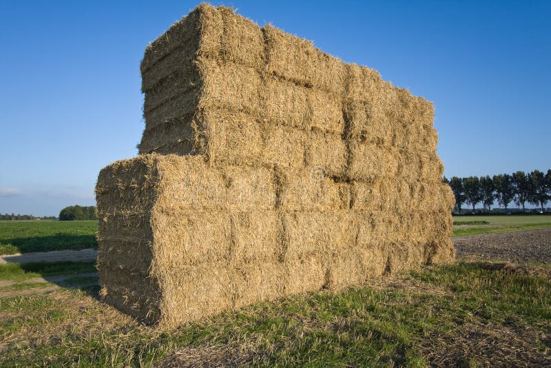 Farmland in the Netherlands with haystack