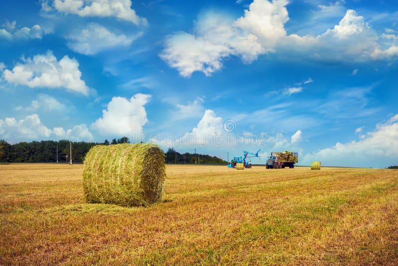 Haystack