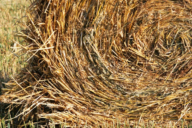 Haystack densely braided on a floor