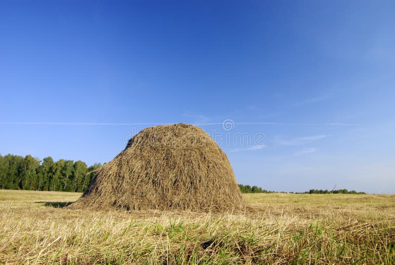 Haystack en el prado foto de archivo Haystack en el prado foto de archivo