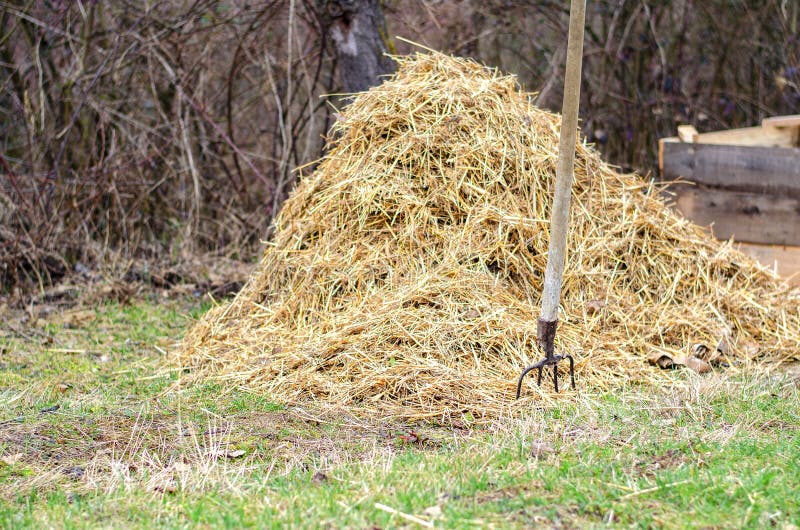 277 Livestock Pitchfork Photos Free & RoyaltyFree Stock Photos from