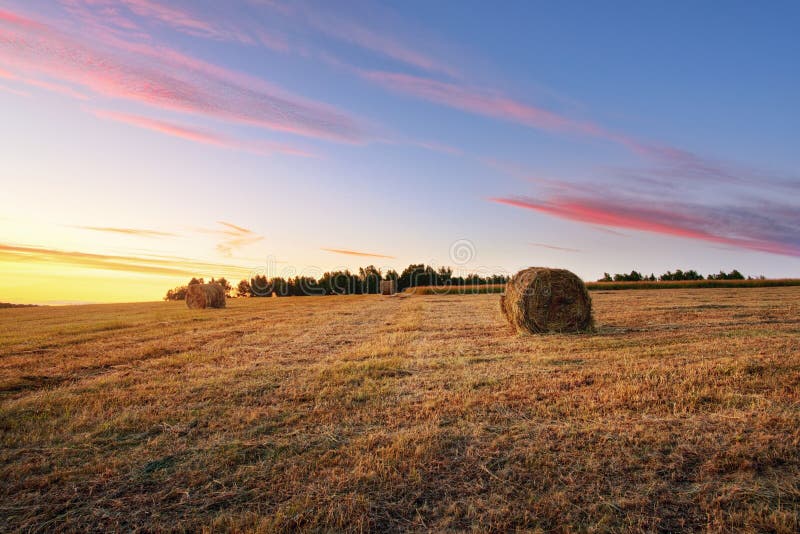 Haystacks and hay making in the fields in autumn at sunset