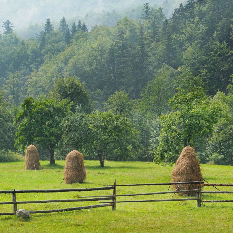 Haystacks in the Mountain Valley Stock Image Image of highlands