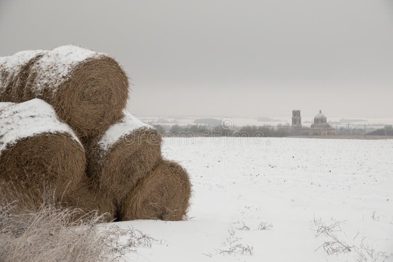 Haystacks Prepared for Animal Feed in Winter. Hay Storage in Winter