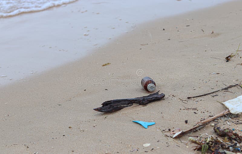 Hazardous Waste Dumped on the Beach Stock Photo Image of ecology
