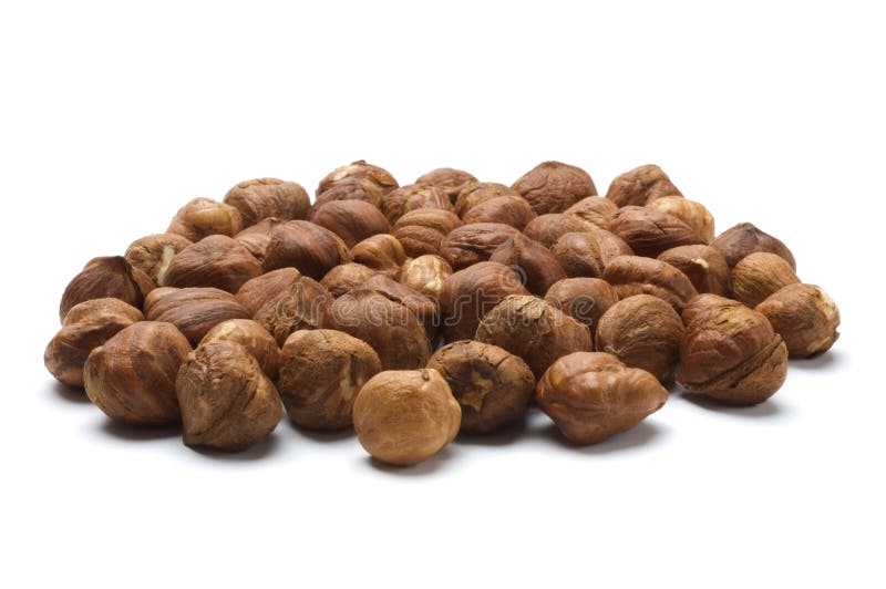 Hazelnut stock image. Image of allergy, nature, food, healthy 2654193