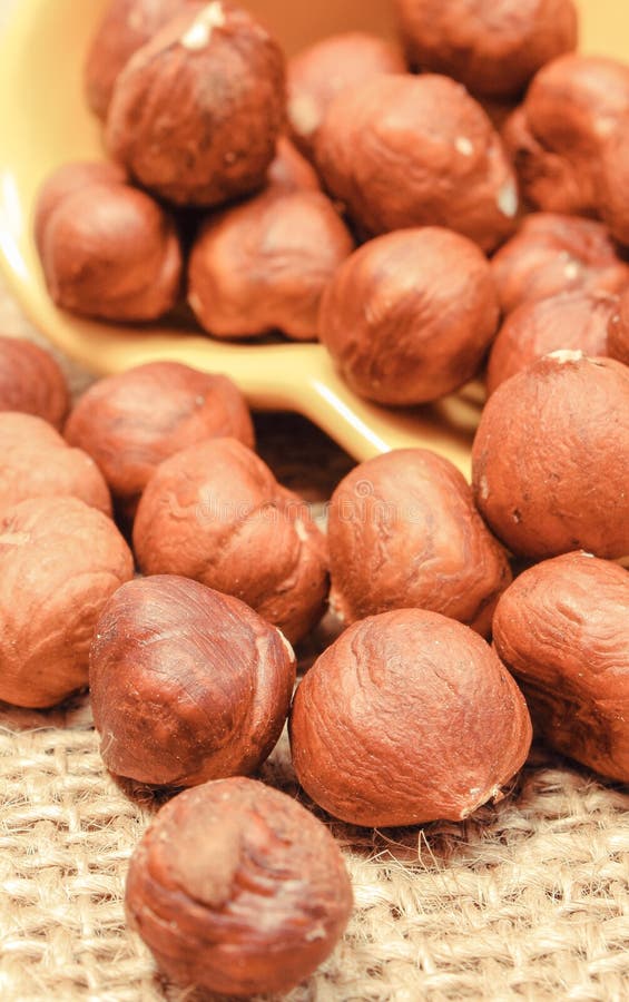 Hazelnut As Food Containing Vitamins and Minerals Stock Photo Image