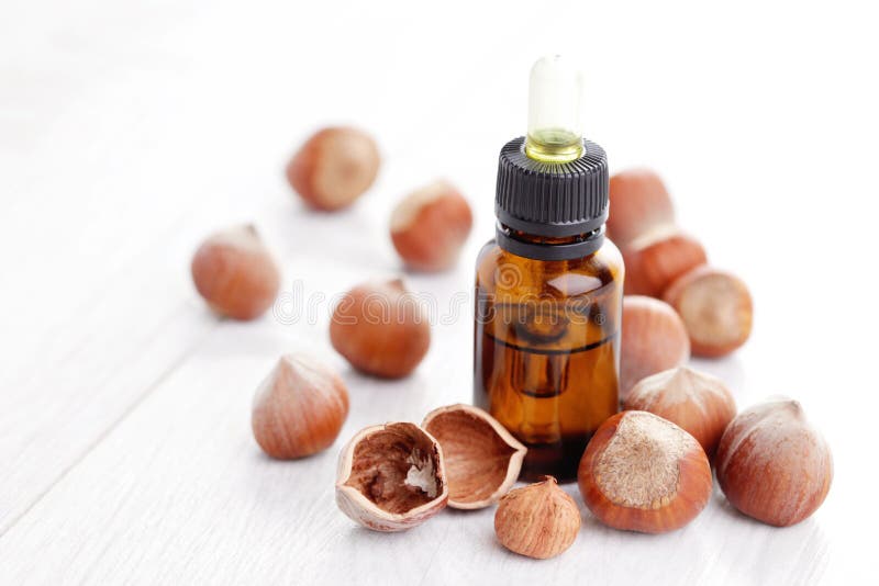 Hazelnut essential oil stock photo. Image of fresh, bottle 44182696