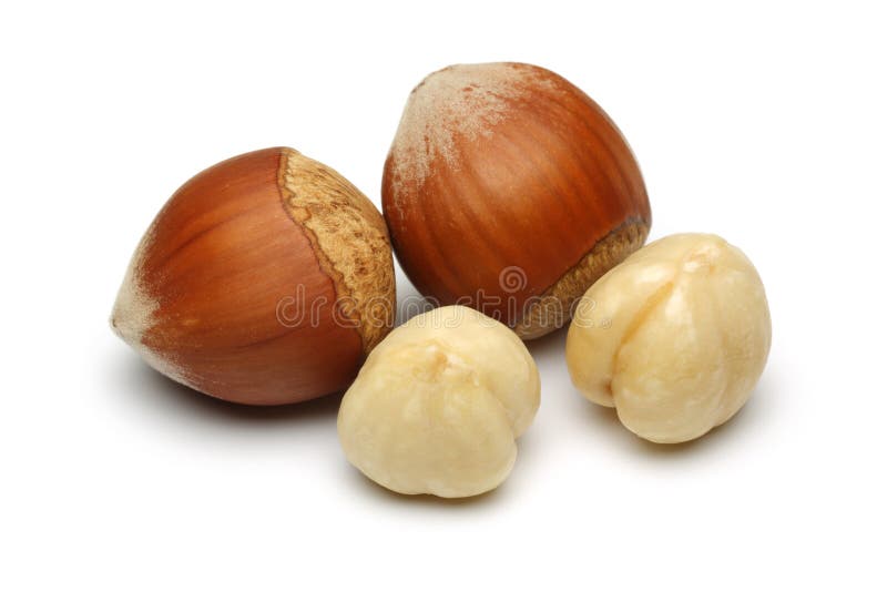 Hazelnut grupa Hazelnut grupa