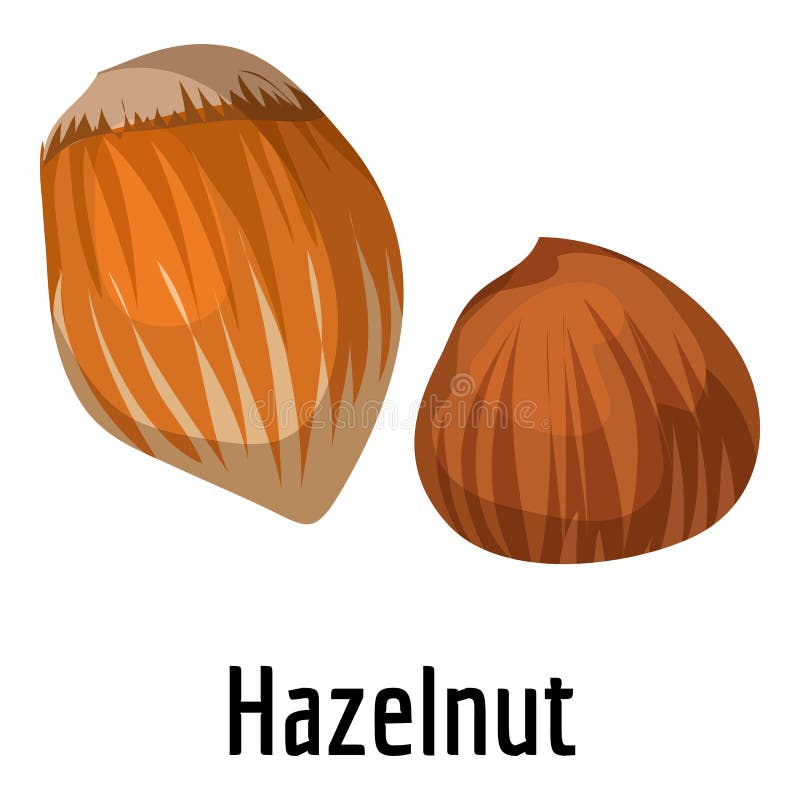 Hazelnut Icon, Cartoon Style Stock Vector Illustration of healthy