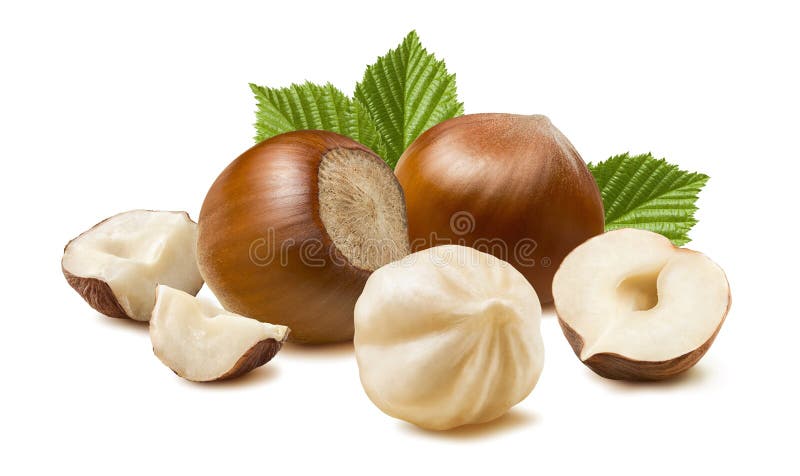 Hazelnut nut many leaves isolated on white background