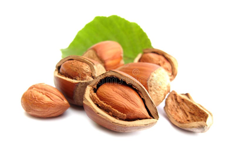 Hazelnuts stock image. Image of leaf, corylus, snacks 10396113