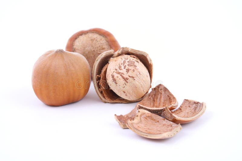 Hazelnuts