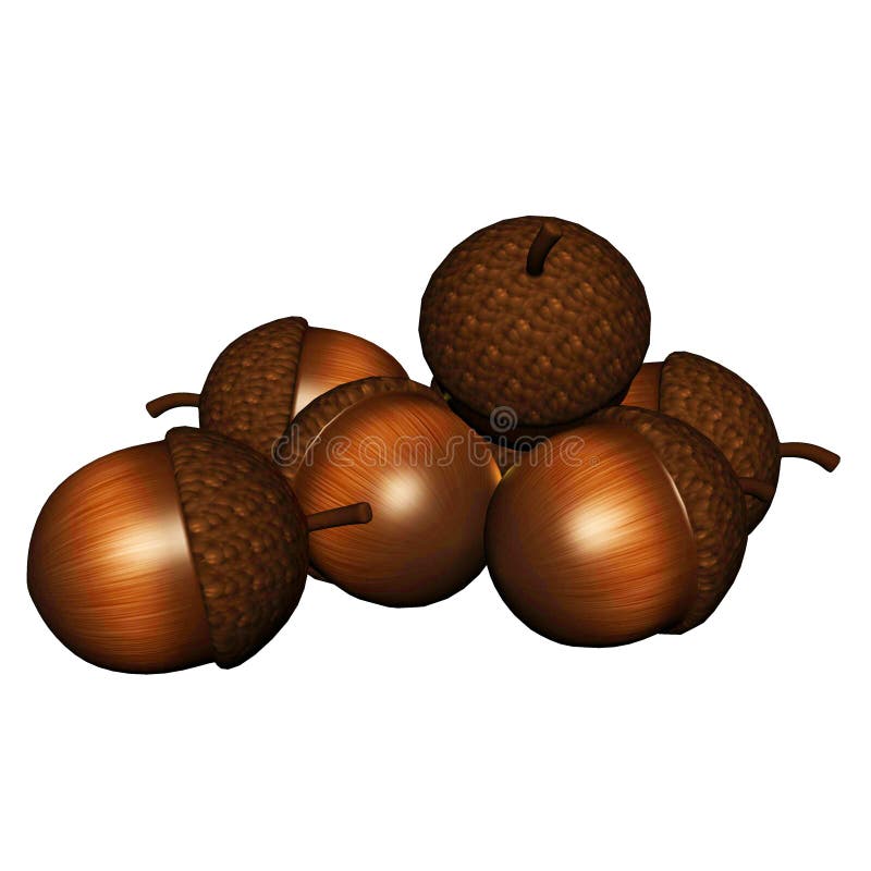 Hazelnuts