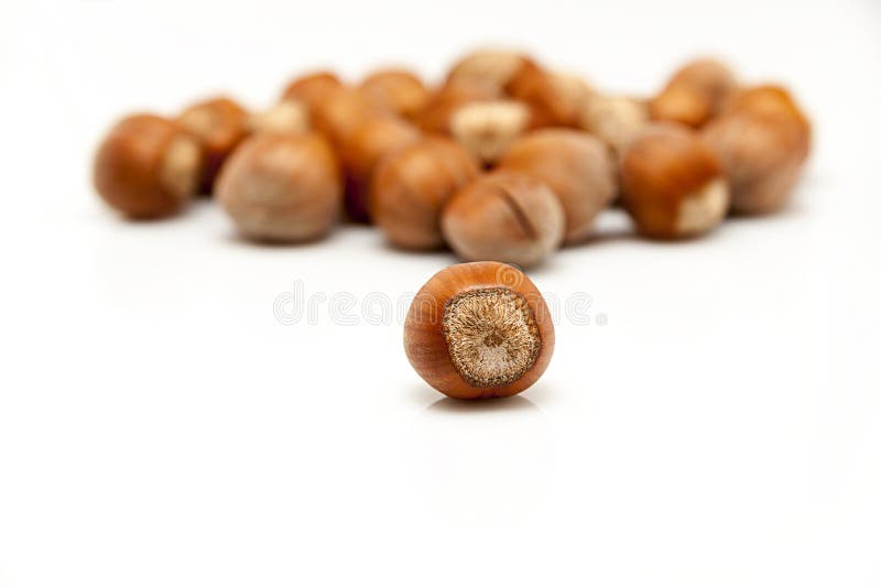 Hazelnuts