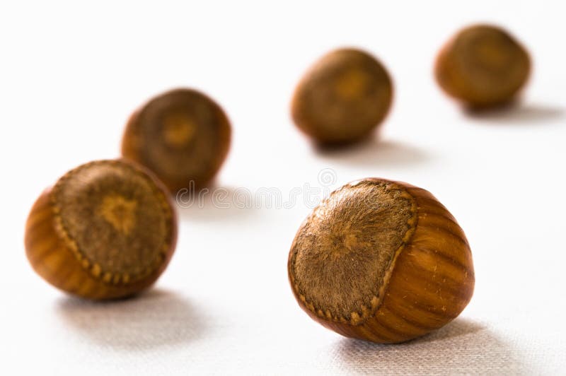 Gallstones stock photo. Image of gallstones, ache, stomach 25307306