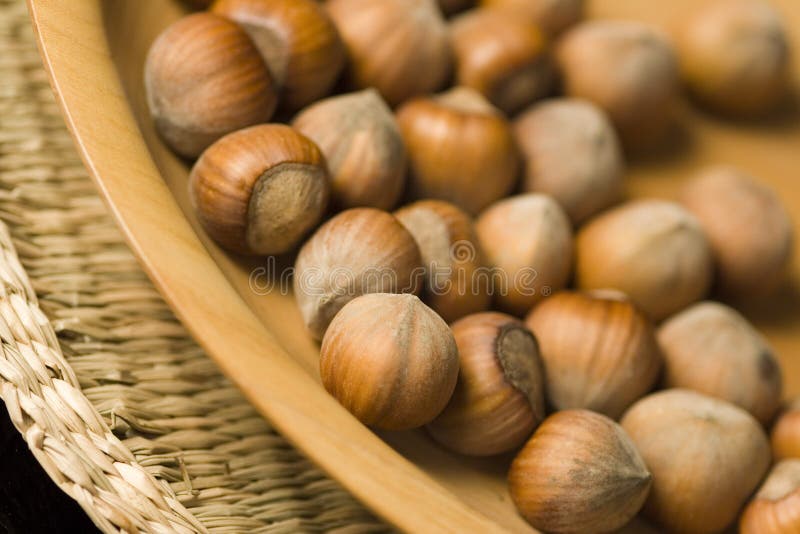 Hazel nut stock image. Image of close, environment, hazel 1860997