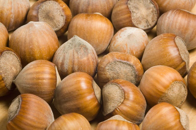 Hazelnuts