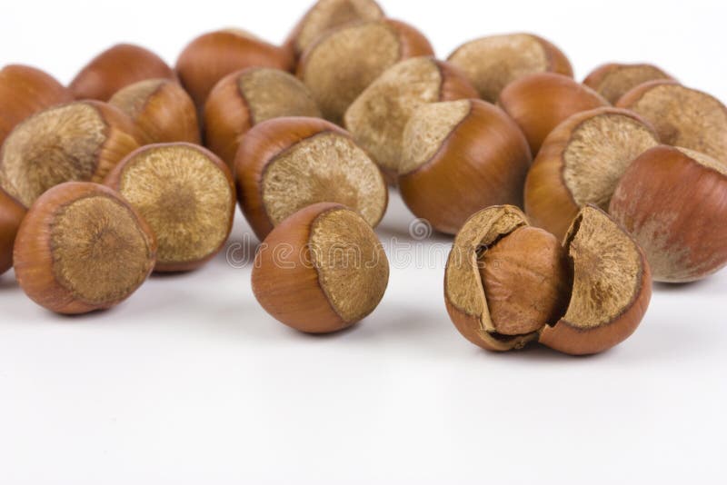 Whole hazelnuts stock image. Image of pile, shiny, material 28310765