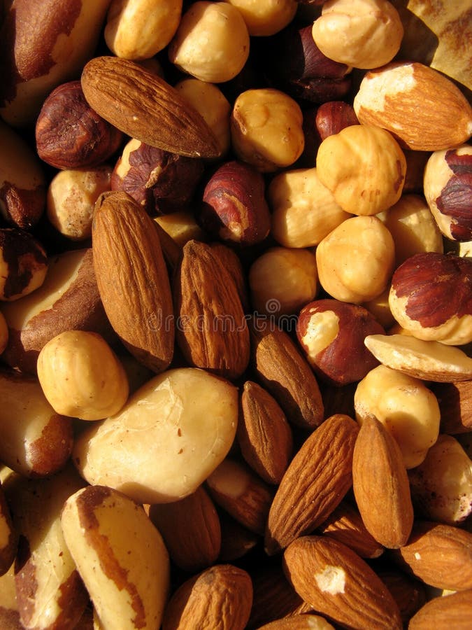 Hazelnuts, Almonds and Brazilian Nuts Stock Image Image of almonds