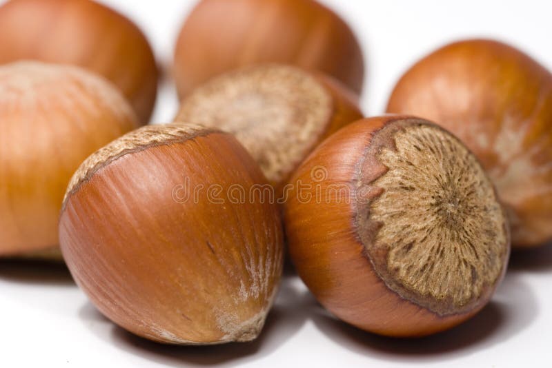 Hazelnuts isolated