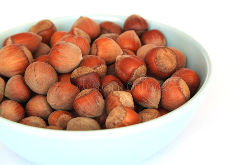 Hazelnuts stock image. Image of protein, white, carbohydrate 63924743