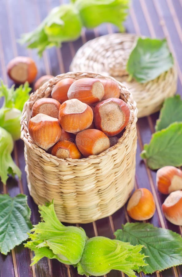 Hazelnuts stock photo. Image of brown, edible, ingredient 32299664