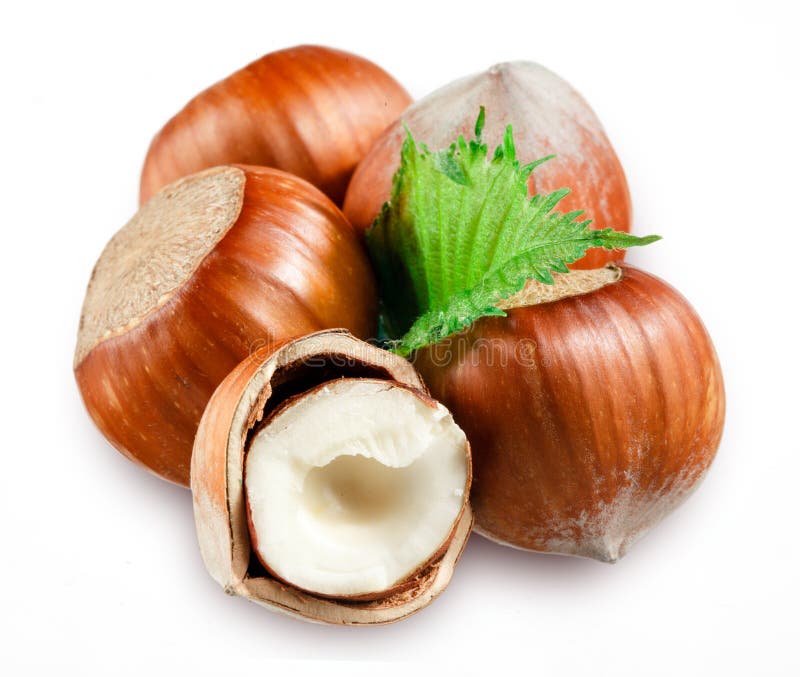 Hazelnuts with leaves on white