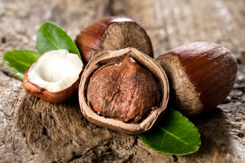 Hazelnuts na brązu drewnianym tle zamkniętym w górę zdjęcia stock Hazelnuts na brązu drewnianym tle zamkniętym w górę zdjęcia stock