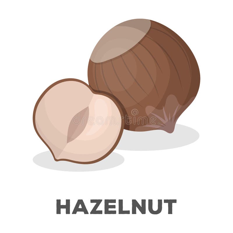 Hazelnuts in Shell.Different Kinds of Nuts Single Icon in Cartoon Style