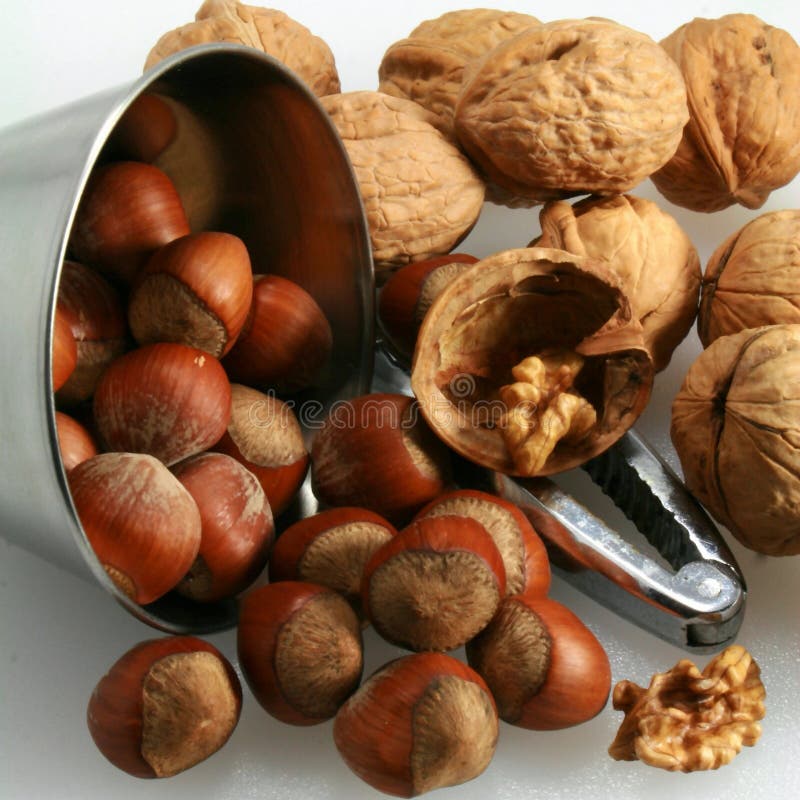 Hazelnuts and walnut