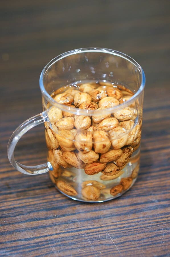 Hazelnuts in water stock photo. Image of glass, water 69208338