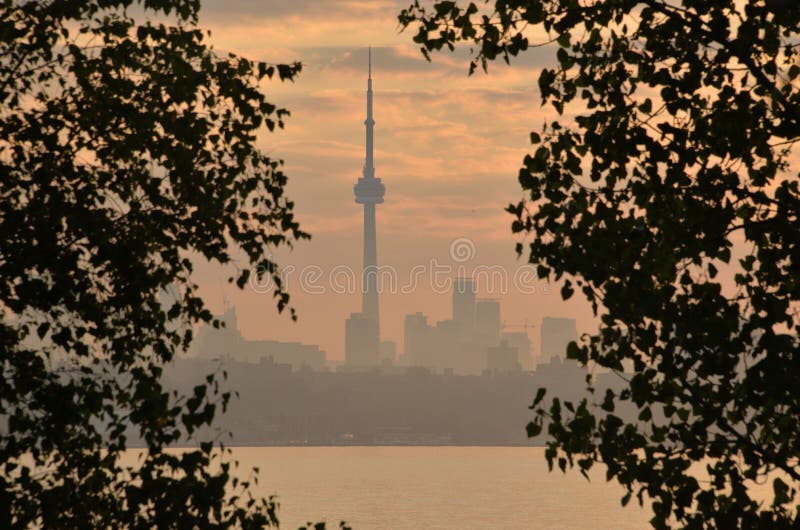 Hazy morning Toronto skyline framed by tree foliage