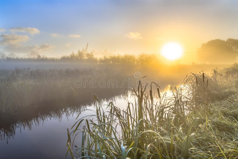 Hazy sunrise over River in dutch countriside royalty free stock photos Hazy sunrise over River in dutch countriside royalty free stock photos