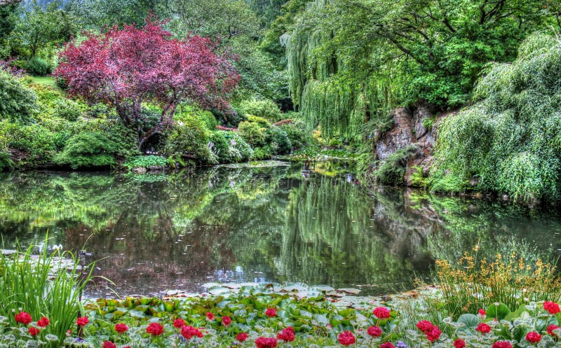 HDR landscape of a forest and pond